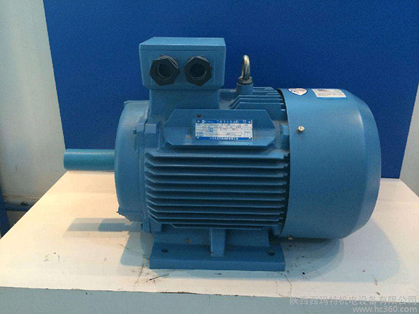 高效節(jié)能電機(jī)是西安泰富西瑪未來商業(yè)發(fā)展的方向。
